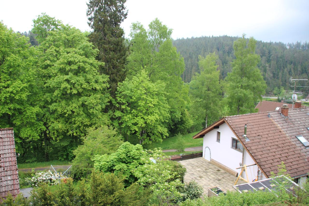 Kuckucksnester Friedenweiler Buitenkant foto